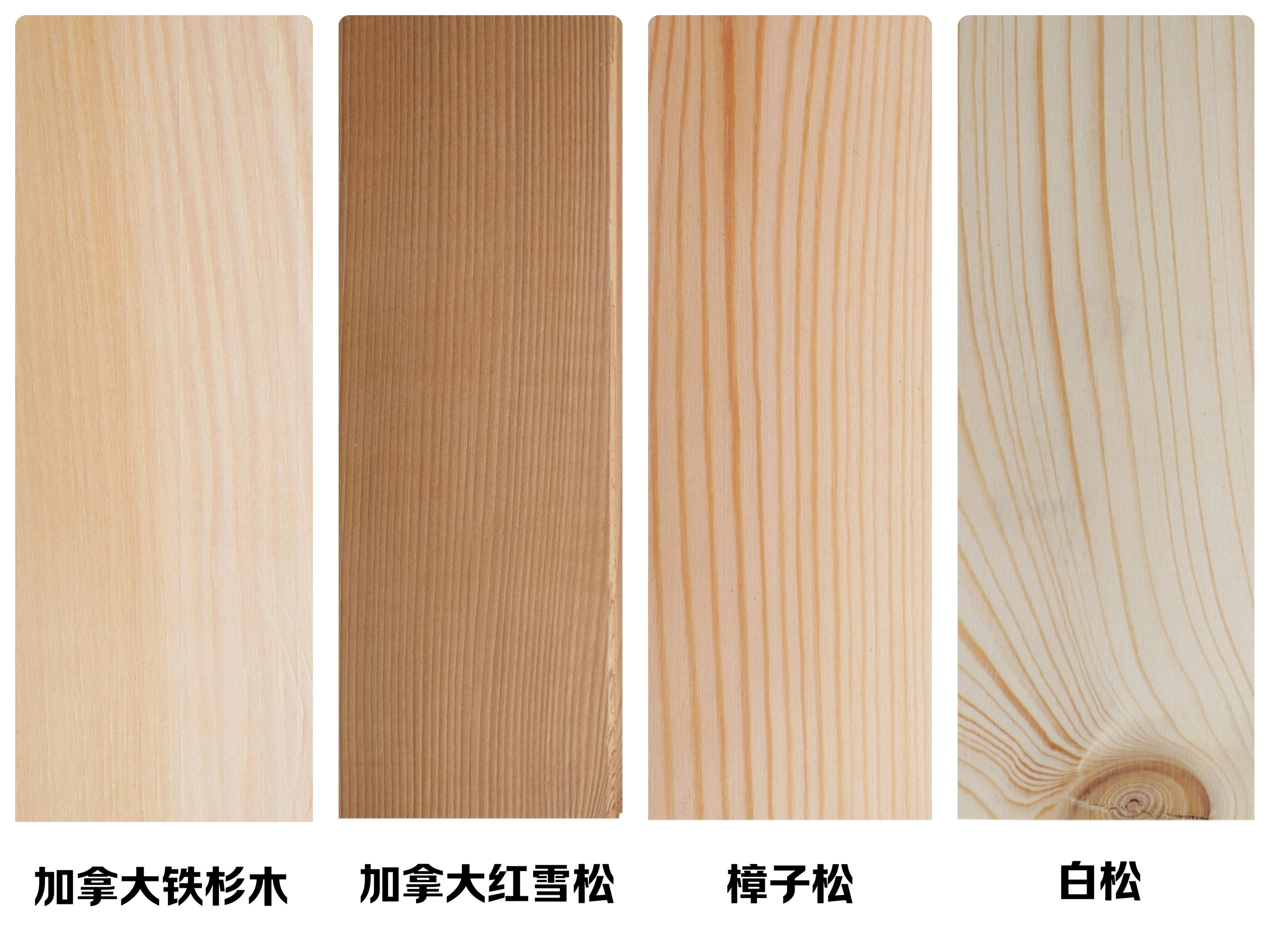 優(yōu)質(zhì)天然木材